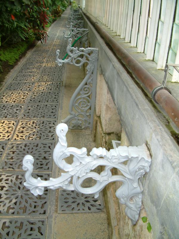 * Image 102