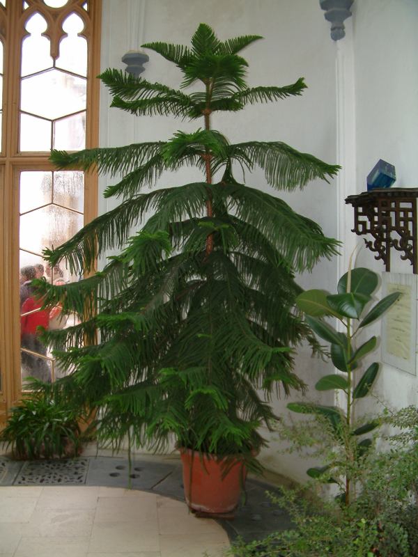 * Image 107