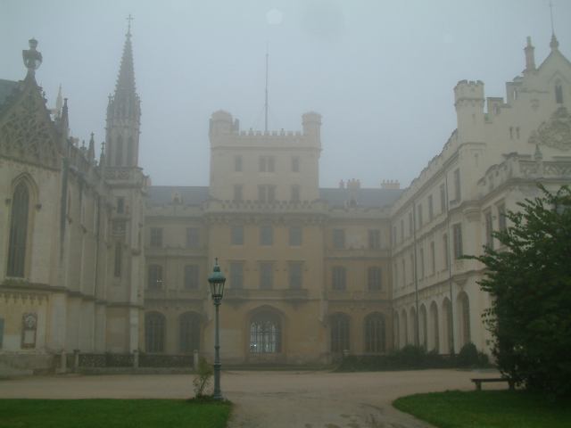 * Image 13