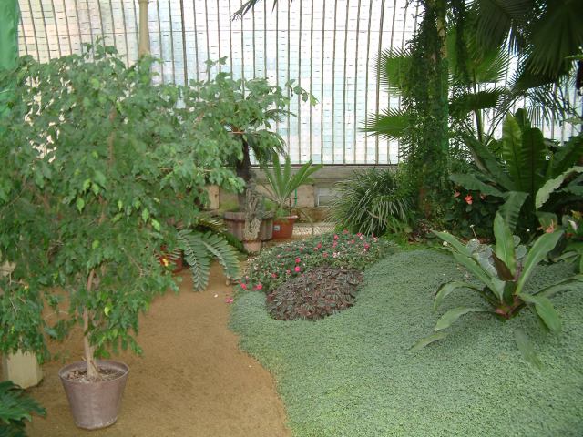 * Image 25