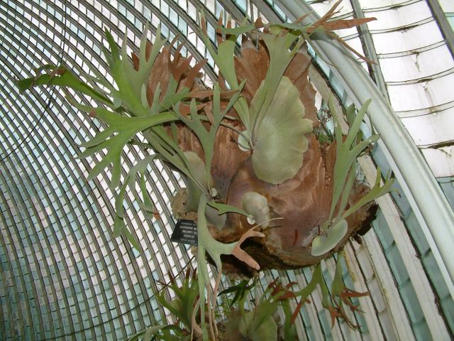 * Image 59