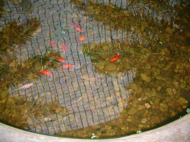 * Image 71