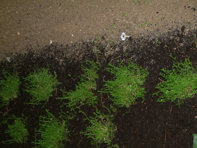 * Image 72