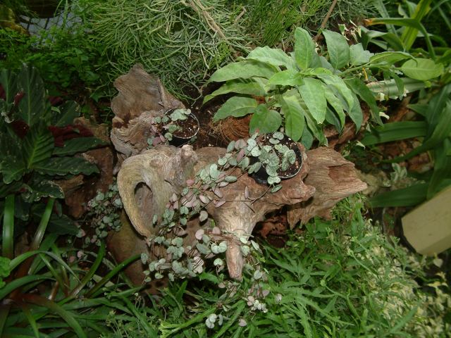 * Image 76