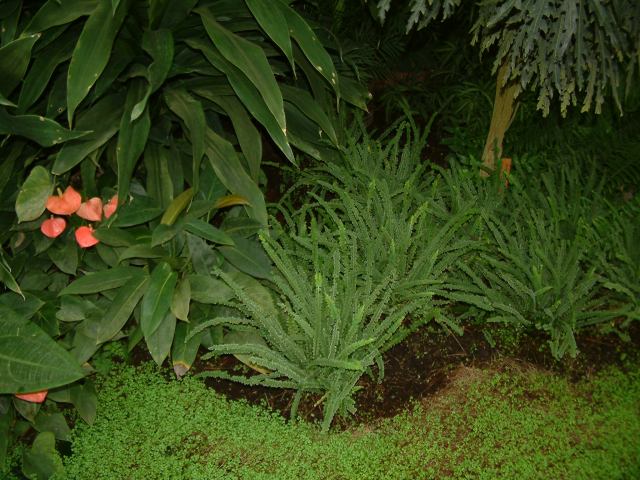 * Image 86