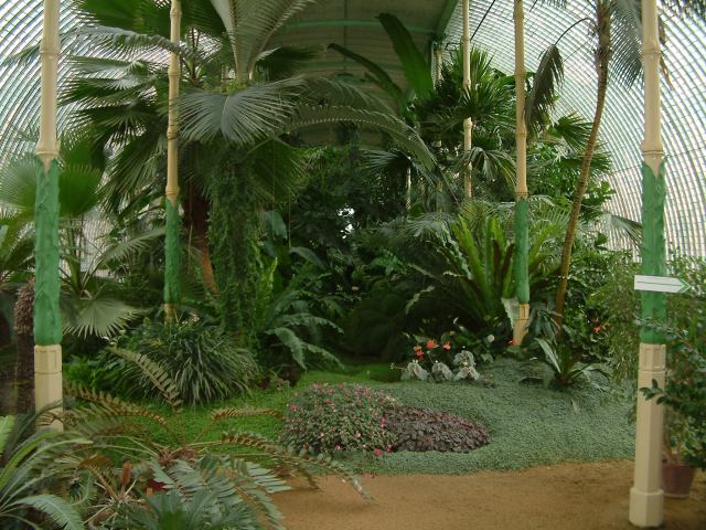 * Image 93