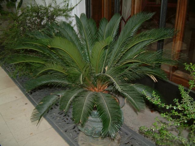 * Image 106