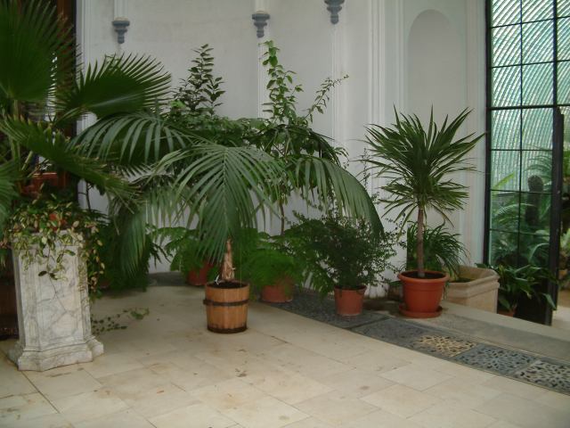 * Image 114