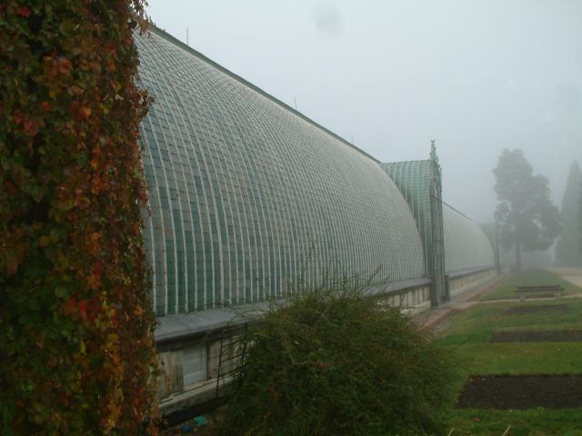 * Image 120