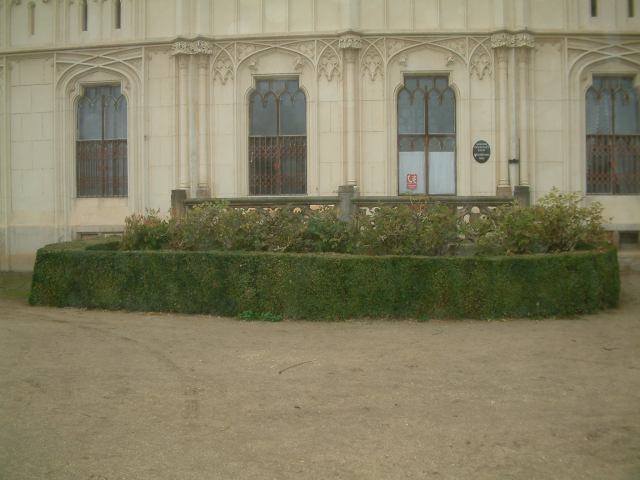 * Image 131