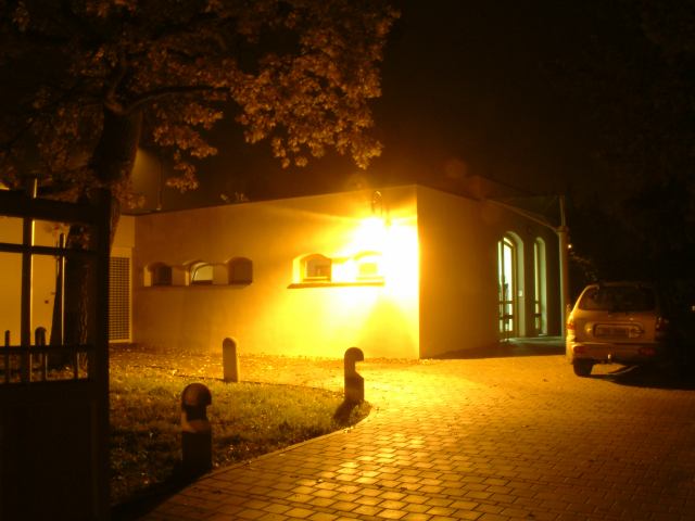 * Image 173