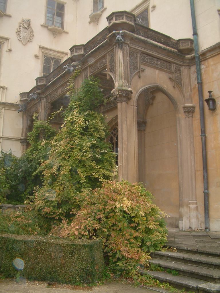 * Image 20