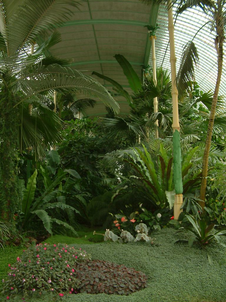 * Image 23
