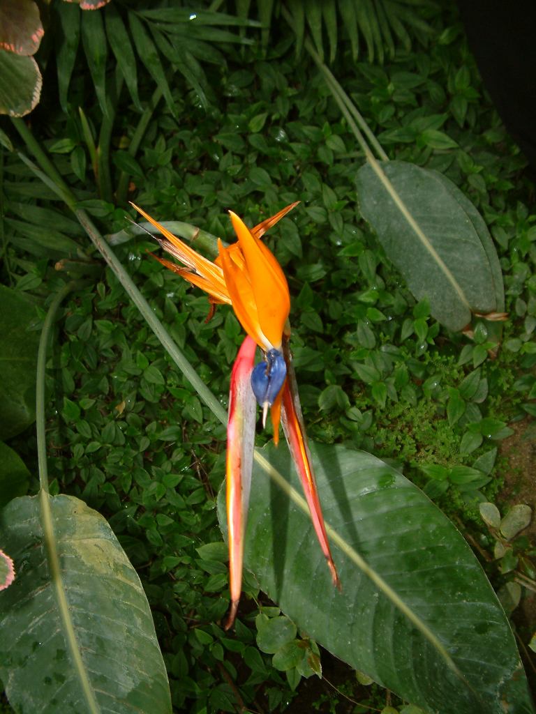 * Image 37