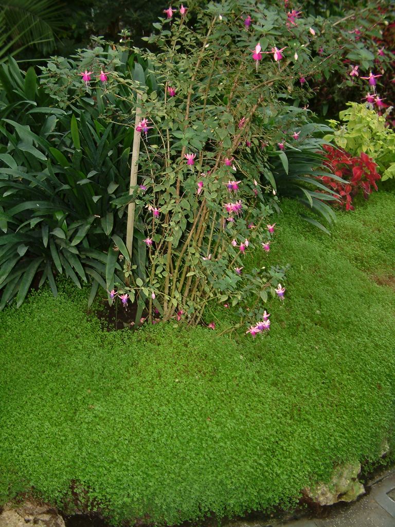 * Image 55