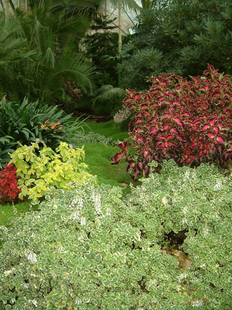* Image 58