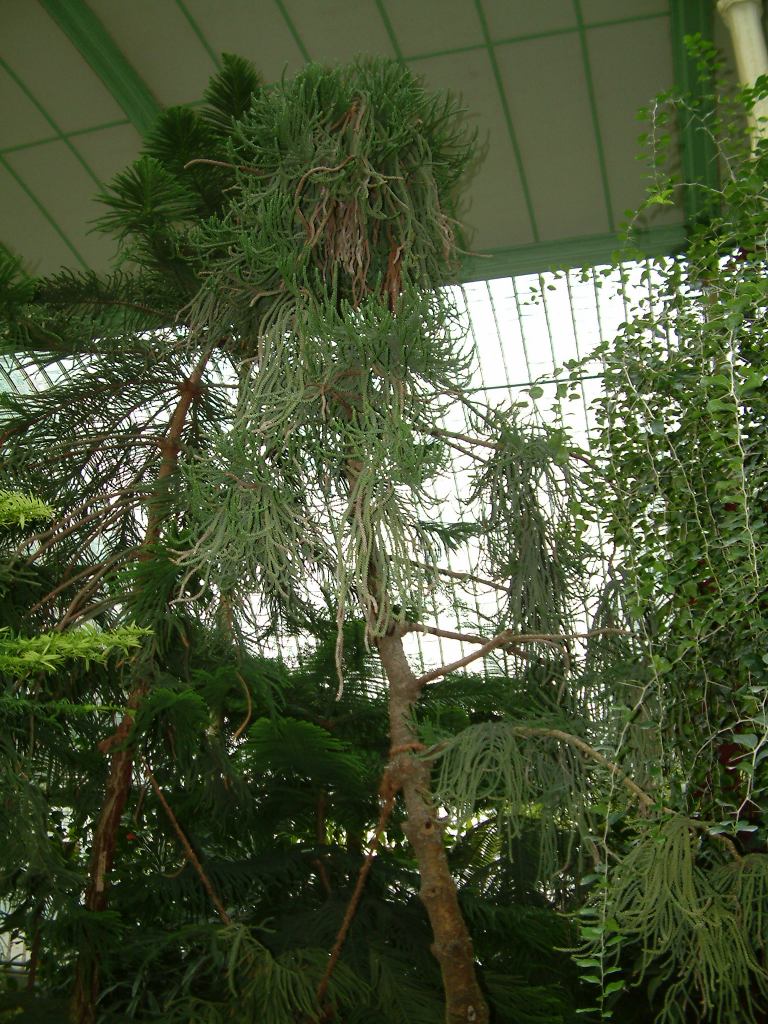 * Image 65