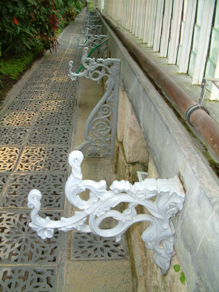 * Image 102
