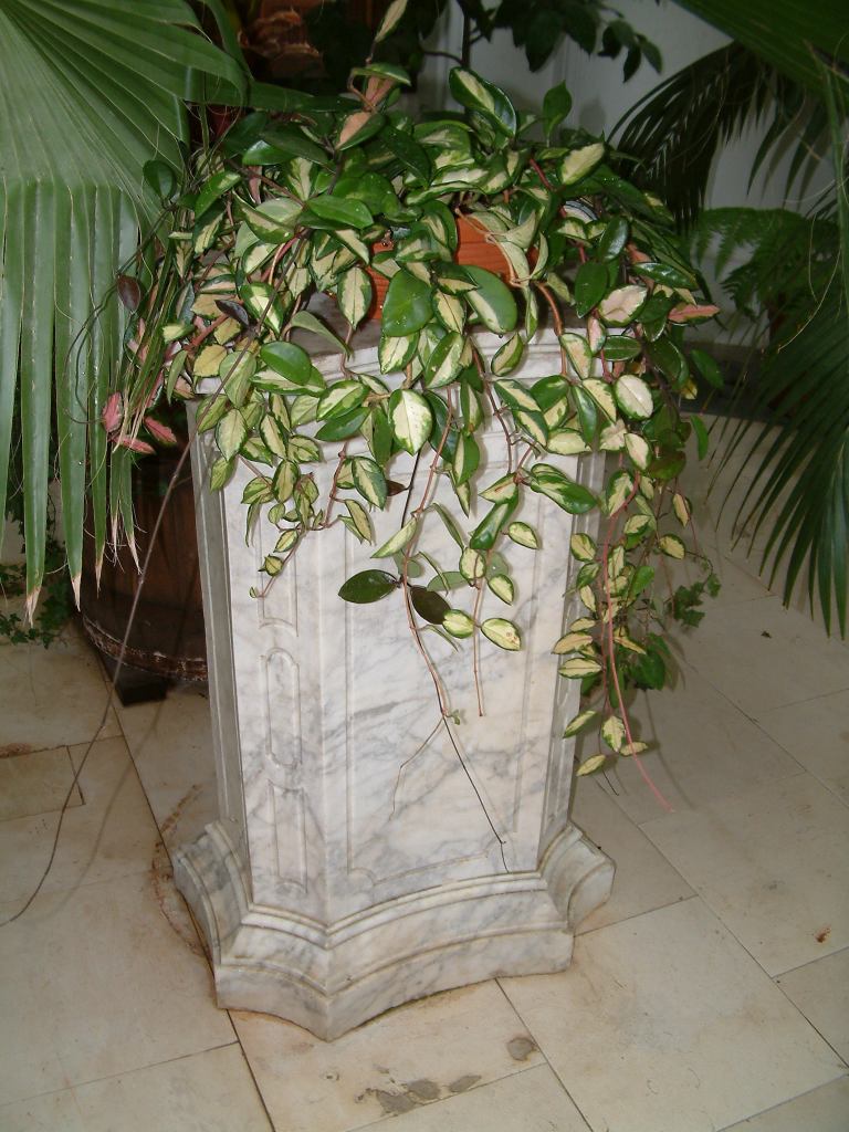 * Image 104