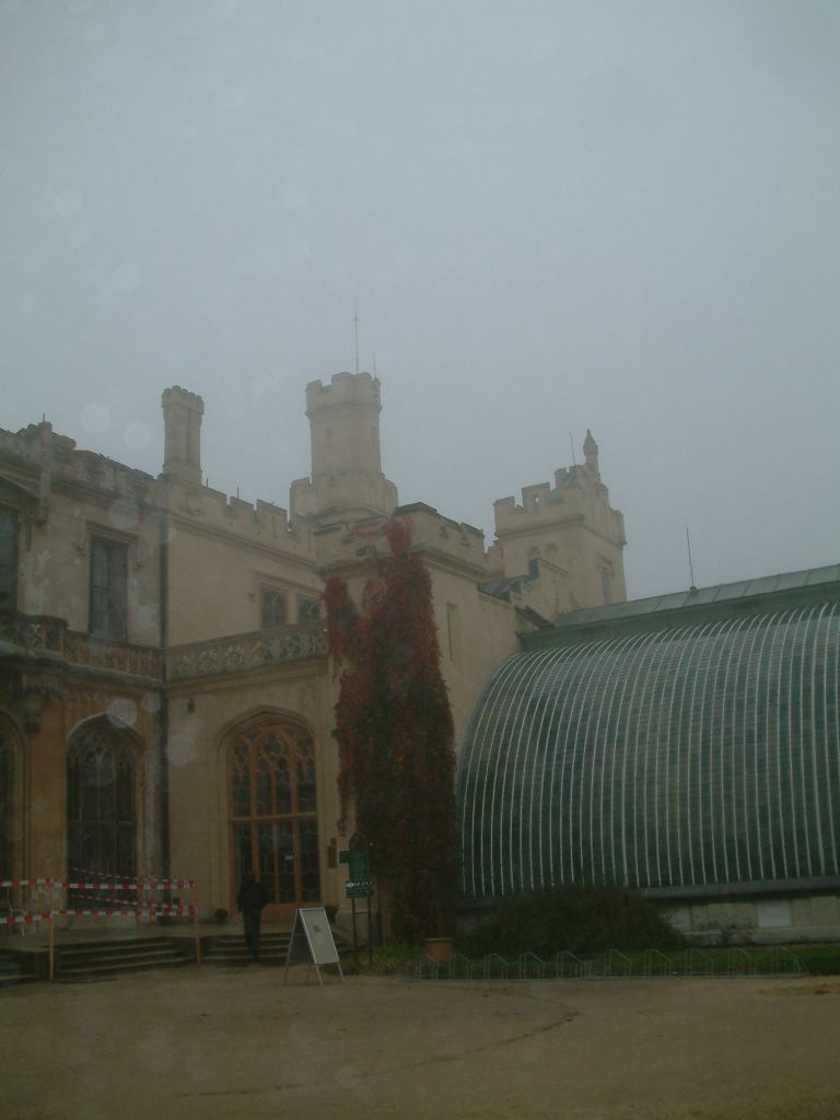 * Image 127
