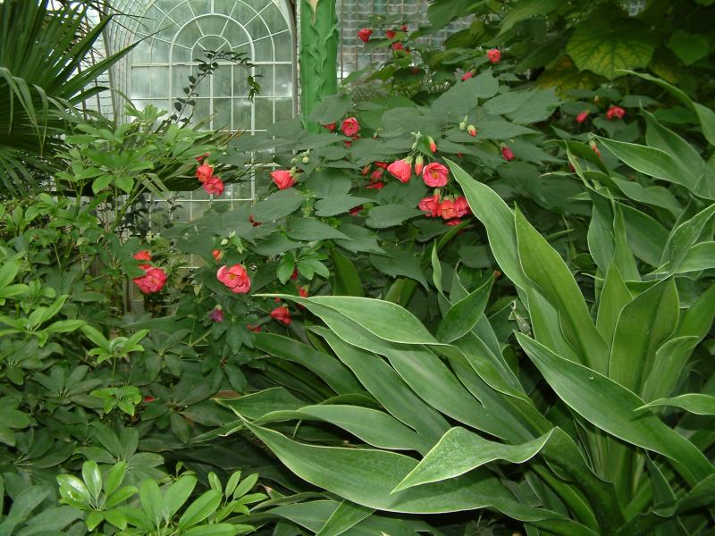 * Image 49