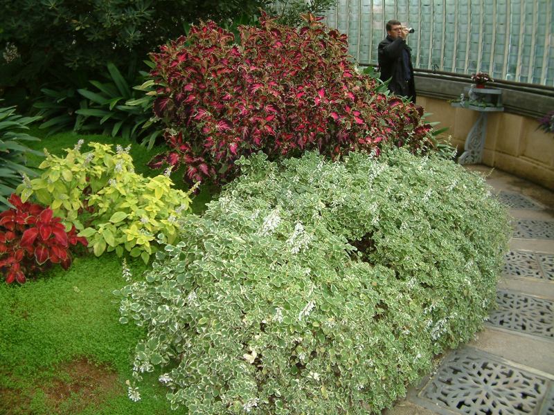 * Image 56