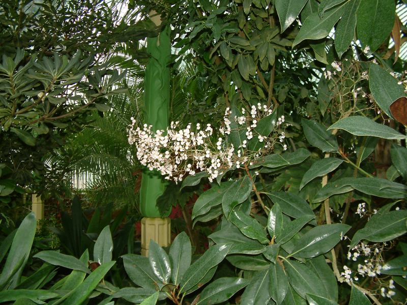 * Image 62
