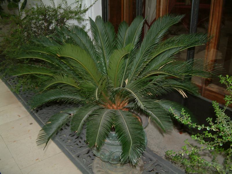 * Image 106