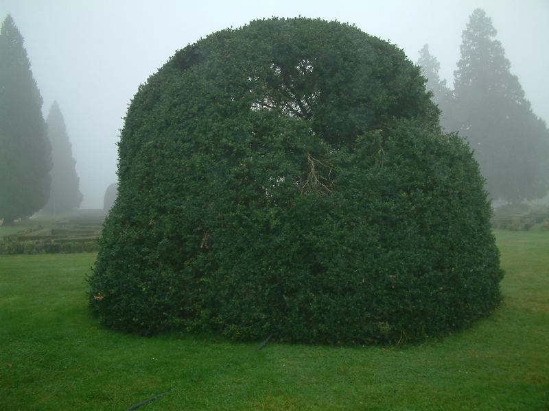 * Image 125