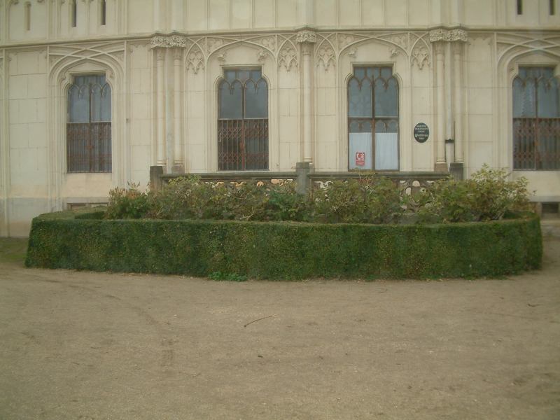 * Image 131