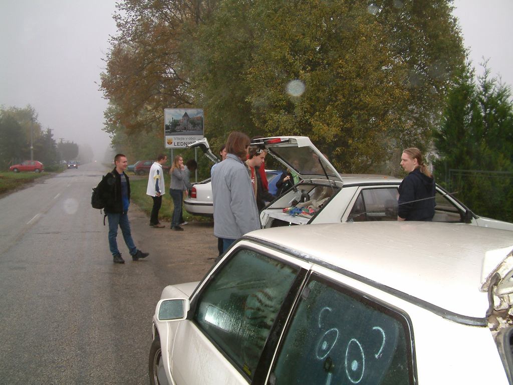 * Image 19
