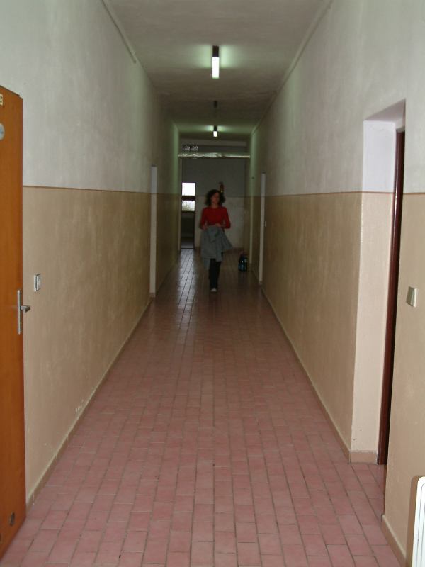 * Image 20