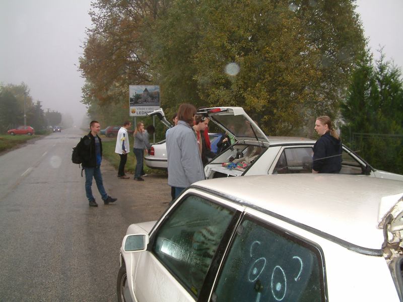 * Image 19