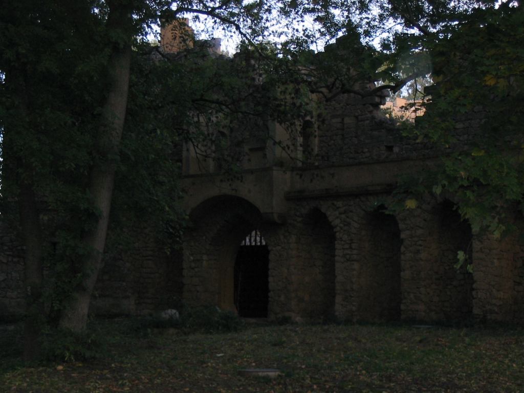 * Image 24