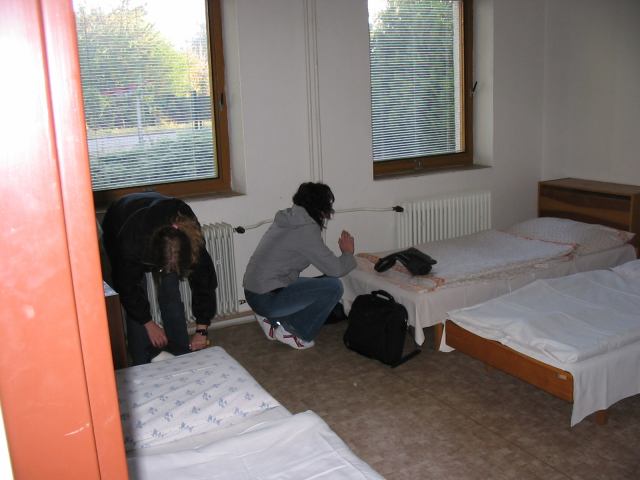 * Image 2