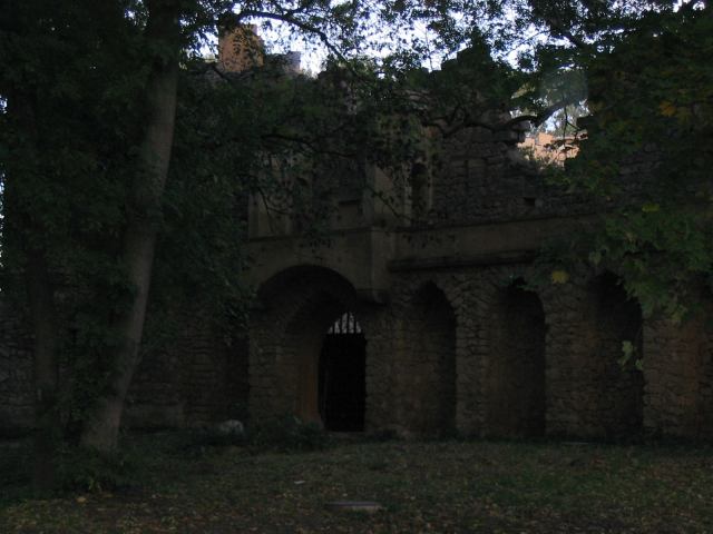 * Image 24