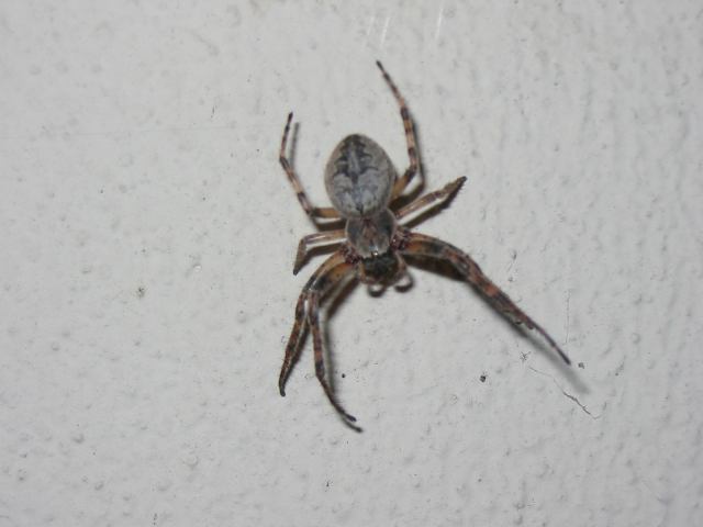 * Image 44