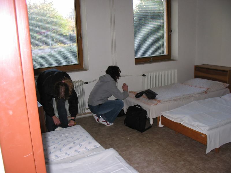 * Image 2