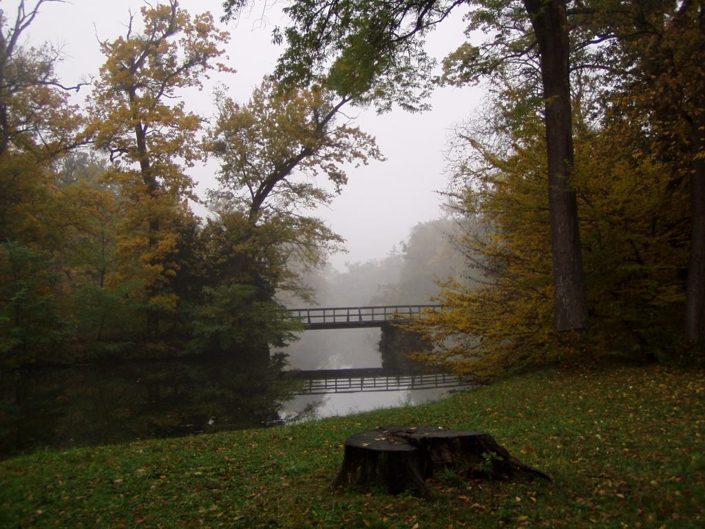 * Image 82