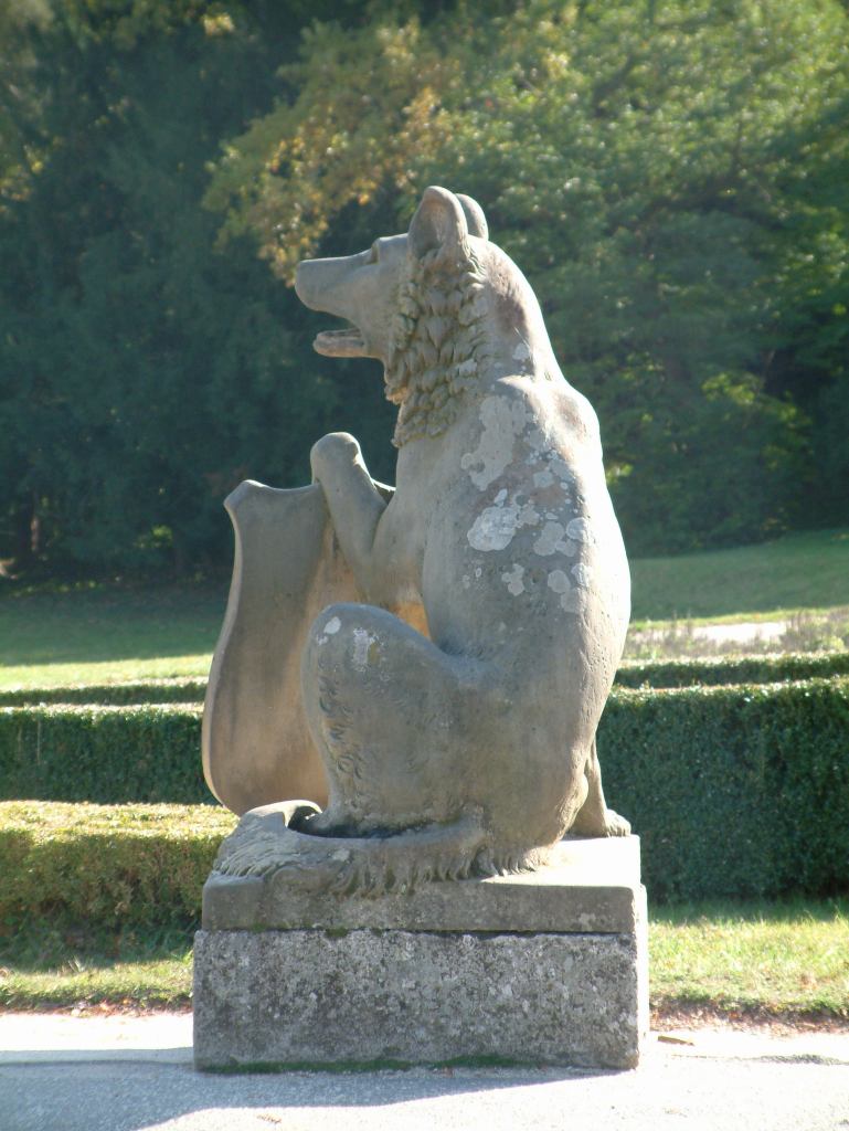 * Image 7