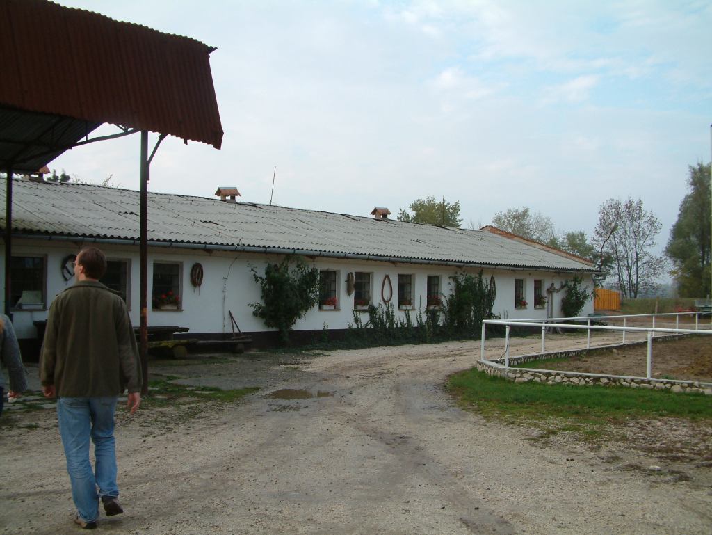 * Image 46