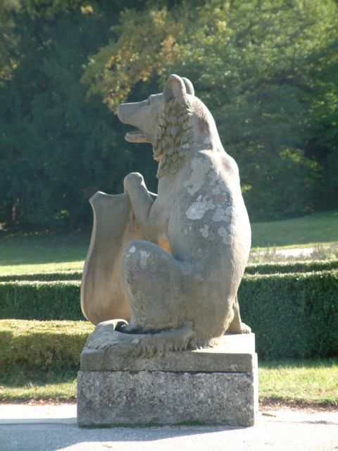 * Image 7