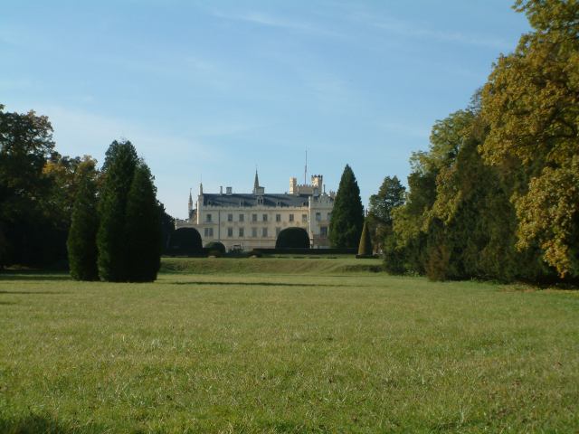 * Image 14