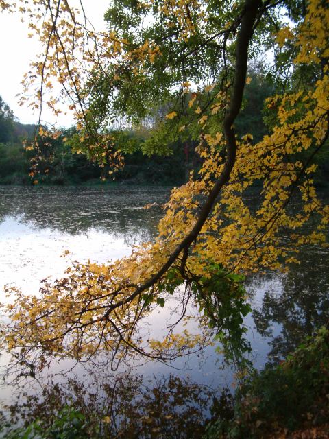 * Image 27