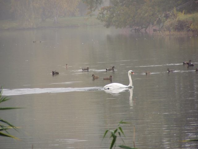 * Image 79