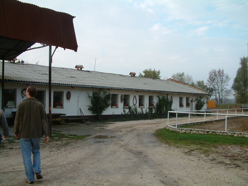 * Image 46