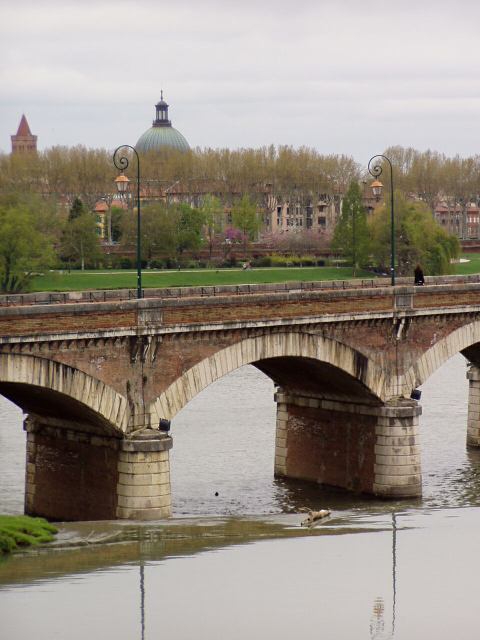 * Image 7
