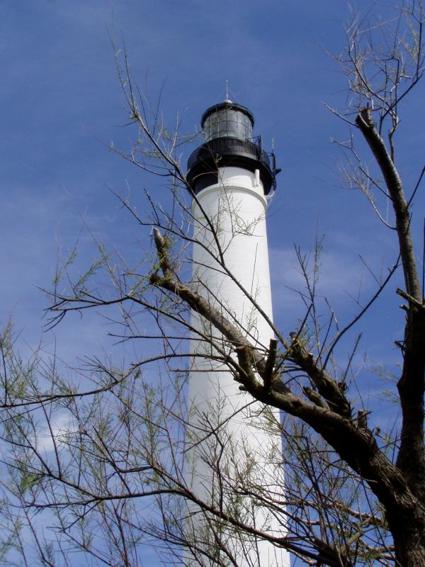 * Image 15