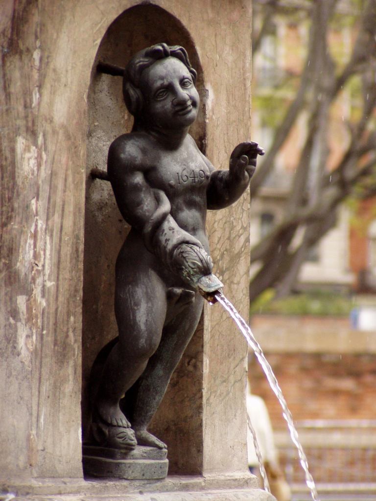 * Image 2