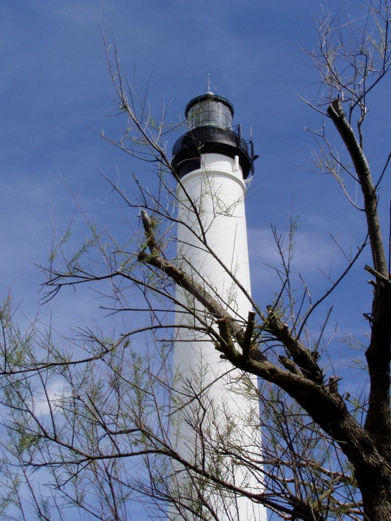* Image 15
